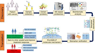 Application of Proteomics in the Discovery of Radiosensitive Cancer Biomarkers